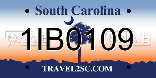 1IB0109 South Carolina License Plate