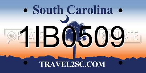 1IB0509 South Carolina License Plate