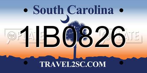 1IB0826 South Carolina License Plate