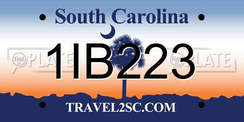 1IB223 South Carolina License Plate
