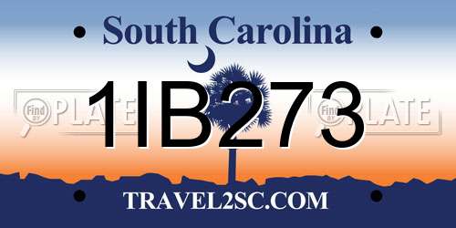 1IB273 South Carolina License Plate