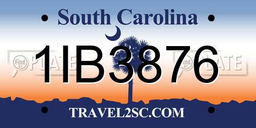 1IB3876 South Carolina License Plate