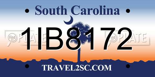 1IB8172 South Carolina License Plate