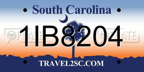 1IB8204 South Carolina License Plate