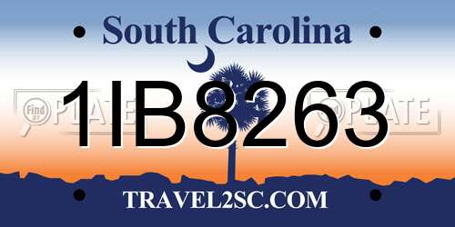 1IB8263 South Carolina License Plate