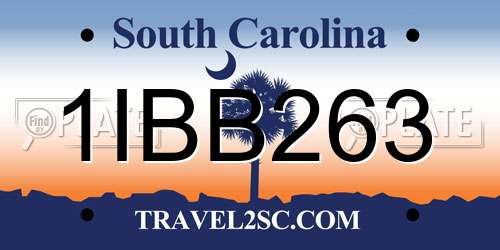 1IBB263 South Carolina License Plate