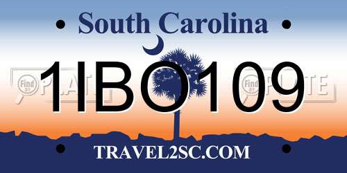1IBO109 South Carolina License Plate