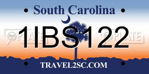 1IBS122 South Carolina License Plate
