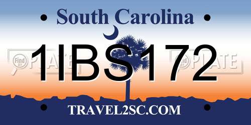 1IBS172 South Carolina License Plate