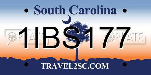 1IBS177 South Carolina License Plate