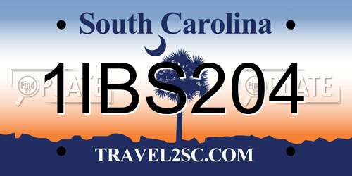1IBS204 South Carolina License Plate