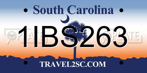 1IBS263 South Carolina License Plate