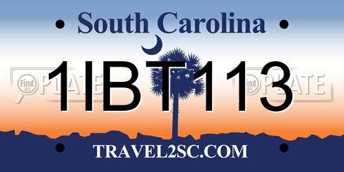 1IBT113 South Carolina License Plate