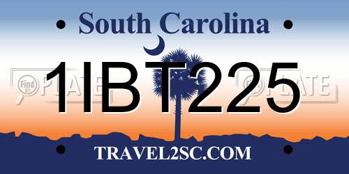 1IBT225 South Carolina License Plate