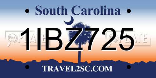 1IBZ725 South Carolina License Plate