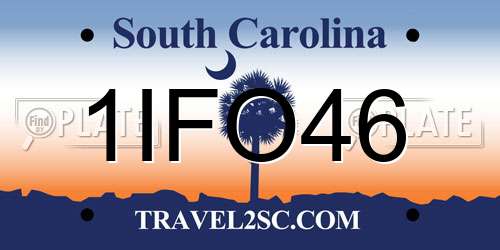1IFO46 South Carolina License Plate