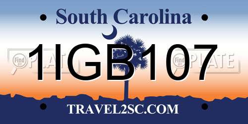 1IGB107 South Carolina License Plate
