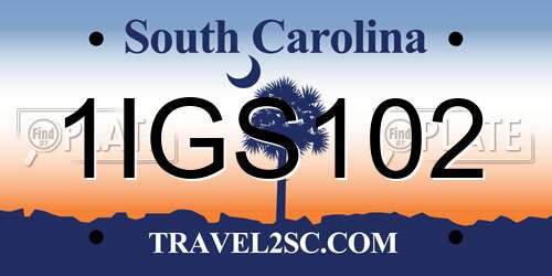1IGS102 South Carolina License Plate