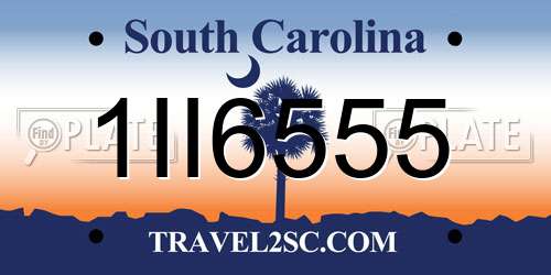 1II6555 South Carolina License Plate