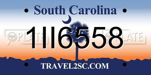 1II6558 South Carolina License Plate