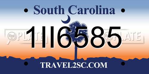 1II6585 South Carolina License Plate