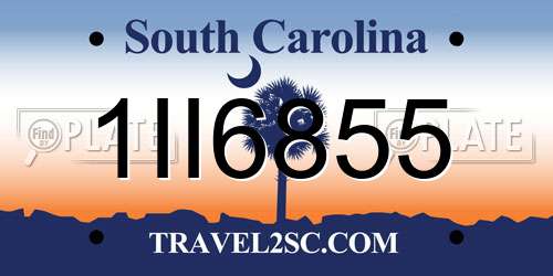 1II6855 South Carolina License Plate