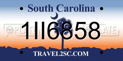 1II6858 South Carolina License Plate