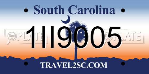 1II9005 South Carolina License Plate