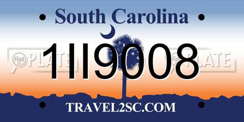 1II9008 South Carolina License Plate