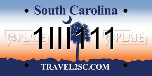 1III111 South Carolina License Plate