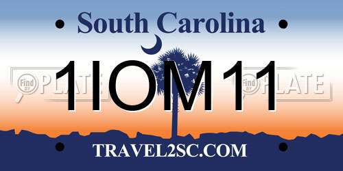 1IOM11 South Carolina License Plate