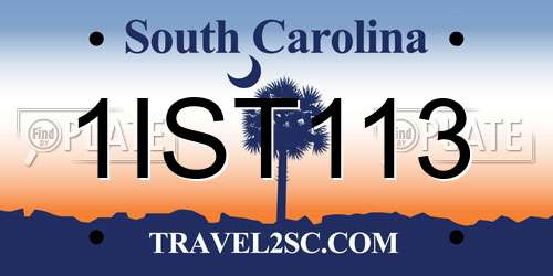 1IST113 South Carolina License Plate