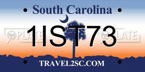 1IST73 South Carolina License Plate