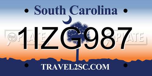 1IZG987 South Carolina License Plate
