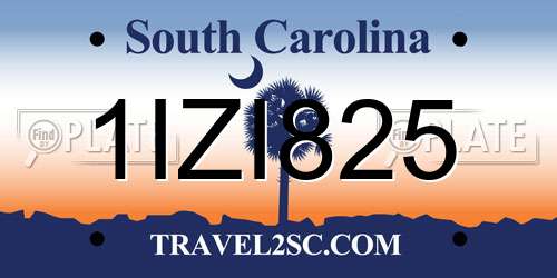 1IZI825 South Carolina License Plate
