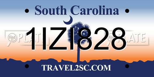 1IZI828 South Carolina License Plate
