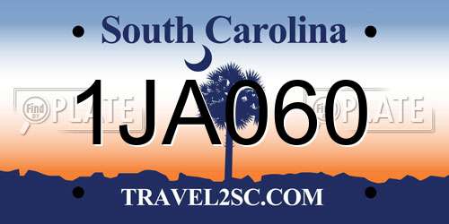1JA060 South Carolina License Plate