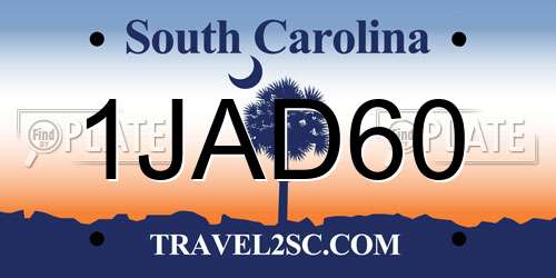 1JAD60 South Carolina License Plate