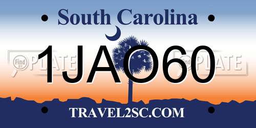 1JAO60 South Carolina License Plate