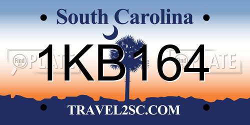 1KB164 South Carolina License Plate