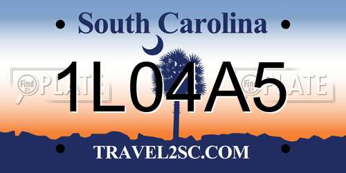 1L04A5 South Carolina License Plate