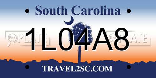 1L04A8 South Carolina License Plate