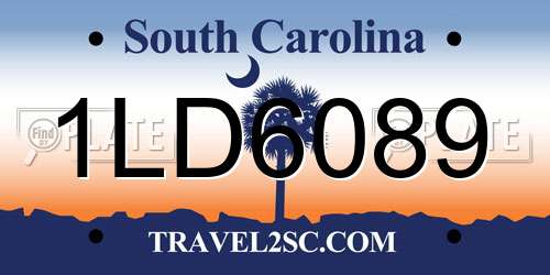 1LD6089 South Carolina License Plate