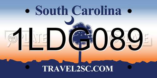 1LDG089 South Carolina License Plate