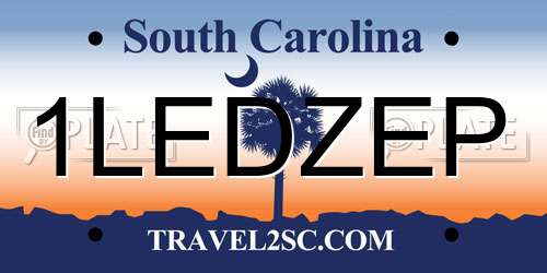 1LEDZEP South Carolina License Plate