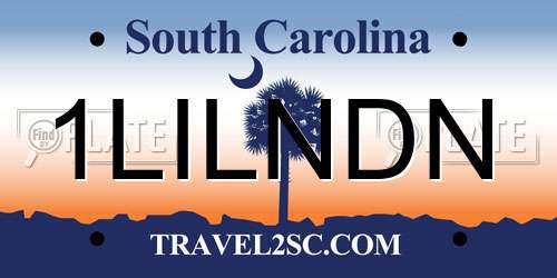 1LILNDN South Carolina License Plate