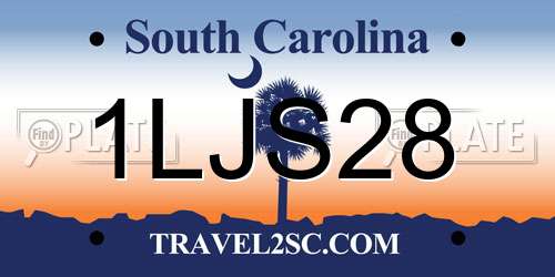 1LJS28 South Carolina License Plate