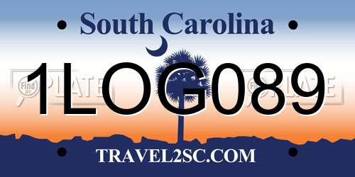 1LOG089 South Carolina License Plate