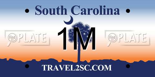 1M South Carolina License Plate