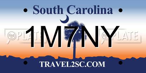 1M7NY South Carolina License Plate